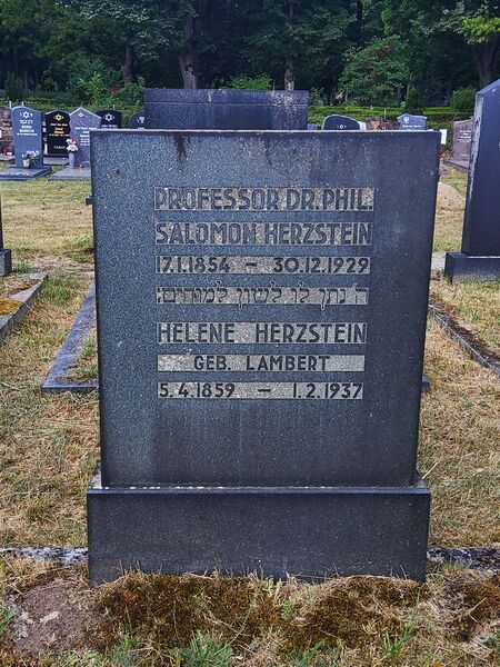 Datei:Salomon Herzstein Grabstein.jpg