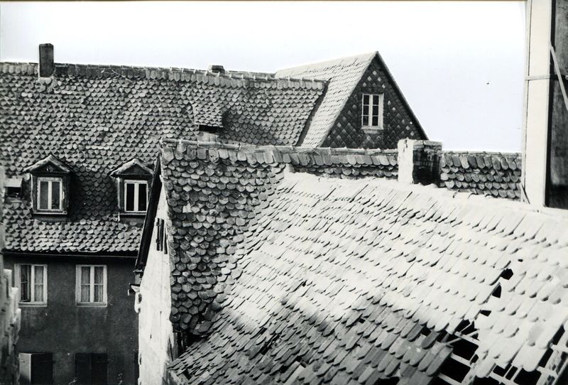 Datei:Gänsberg 9.jpg