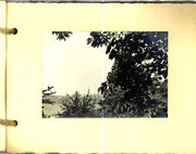 Grüner Park Blatt 9.jpg