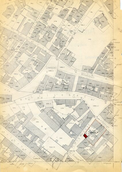 Datei:Kataster Umgebung Löwen+Lilienplatz.jpg