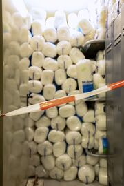 Schwandbunker Mai 2023 10.jpg