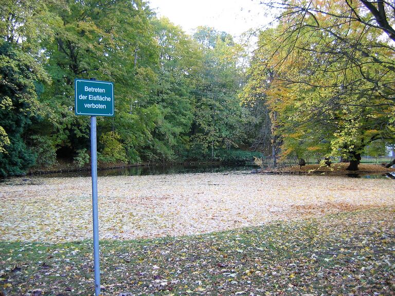 Schwanenweiher 2003.jpeg