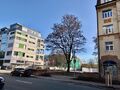 Freigeräumtes Grundstück Flößaustr. 98 und 96 – noch mit Baum, Zustand Dez. 2022