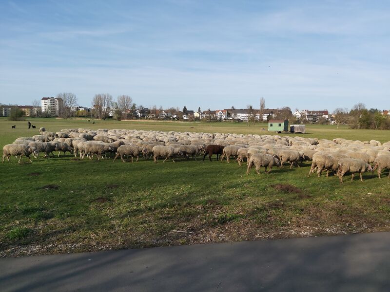 Datei:20220411 175230.jpg