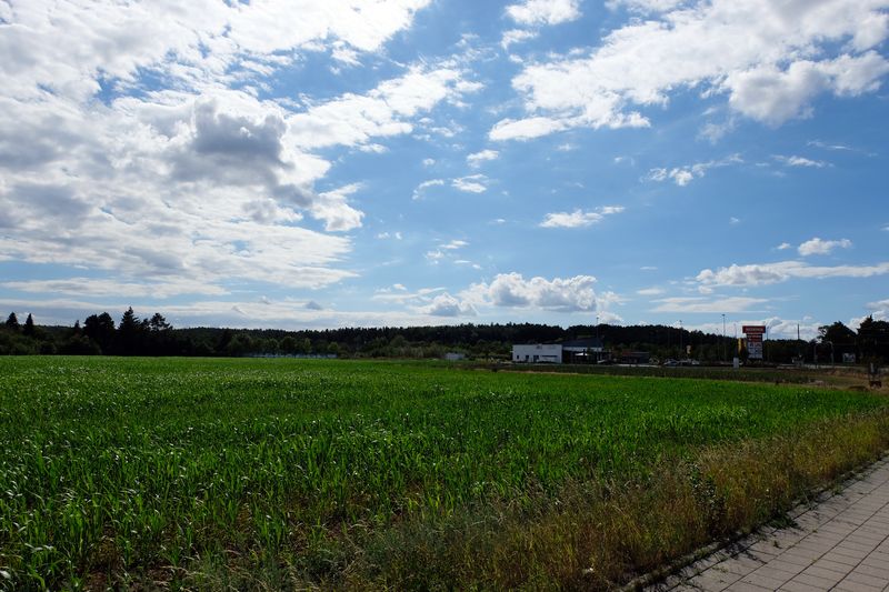 Datei:Reichsbodenfeld Aug 2020.jpg