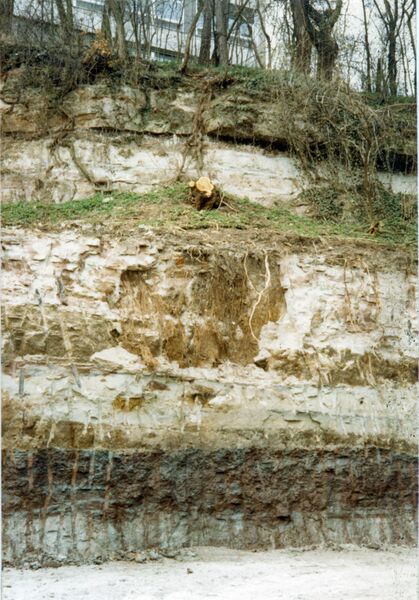 Datei:NL-FW 04 1178 KP Schaack Grüner Park 13 April 1986.jpg