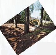 NL-FW 04 2356.3 KP Schaack Fischtreppe Pegnitz14.9.2007.jpg