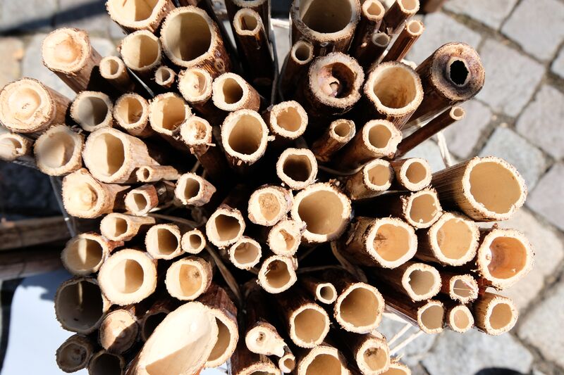 Datei:Schoeller Mohi Frei Luft Galerie Juni 2021 3.jpg