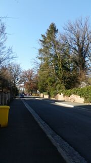 Forsthausstraße Februar 2023 (2).jpg