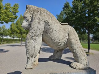 2025 08 23 Gorilla Südstadtpark.jpg