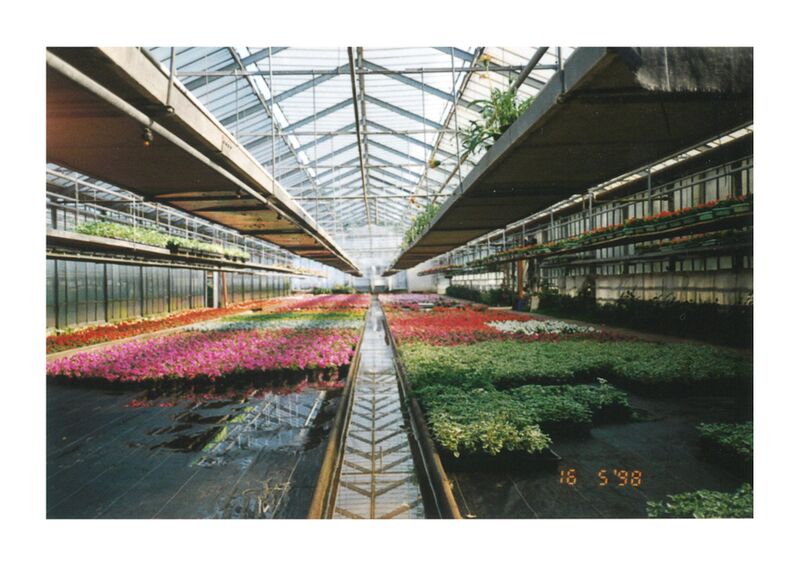 Datei:Gärtnerei Gumbmann 1998 b.jpg