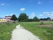 Höfener Spange 4.jpg