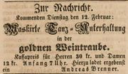 Goldene Weintraube 1850.jpg