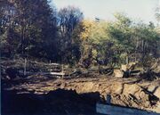 NL-FW 04 0290 KP Schaack Grünerpark 18.11.78.jpg