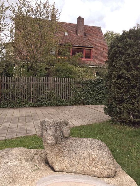 Datei:Widder in der Widderstraße.jpg