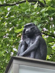 Pavian auf Uhrensäule Fürther Freiheit.jpg