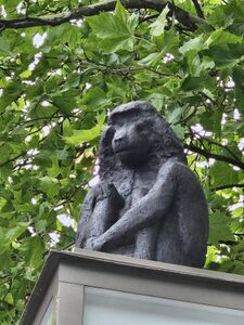 Pavian auf Uhrensäule Fürther Freiheit.jpg