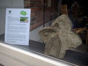 Fundstück des Monats 2021-08.jpg