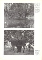 Garten und Landschaft 6 1951 S. 14.jpg