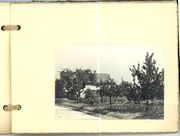 Grüner Park Blatt 1.jpg