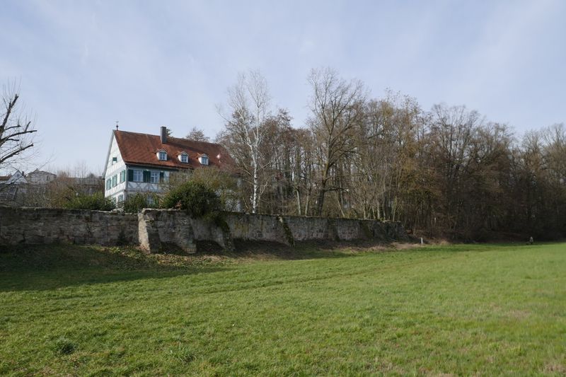 Datei:Vach Burgstall 02 2020 7.JPG