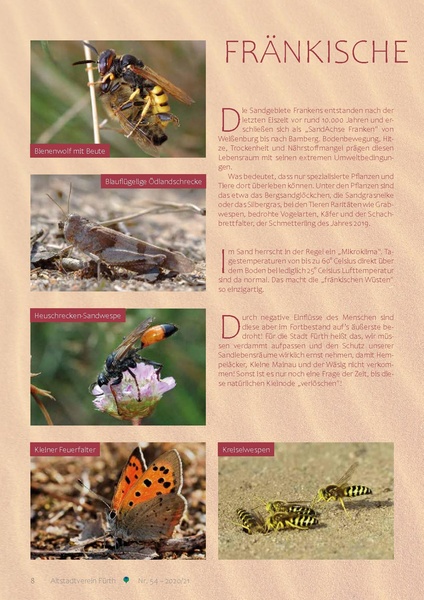 Datei:Altstadtblaeddla 054 2020-2021.pdf