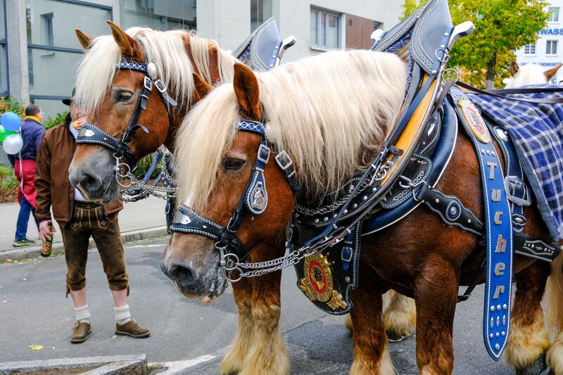 Datei:Erntedankfestzug Okt 2025 106.jpg