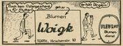 Woigk Werbung 1960.jpg