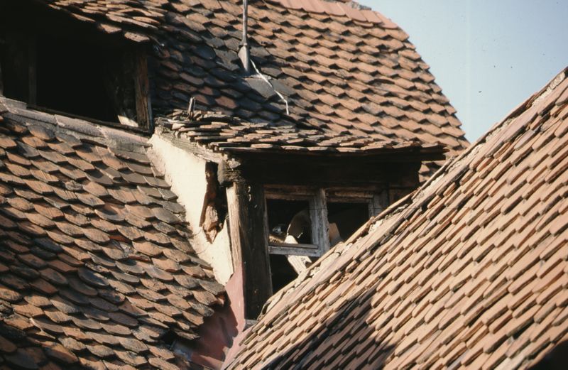 Datei:Sammlung Körnlein Altstadt (9).jpg