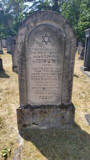 Grab Elasar Warszawski.jpg