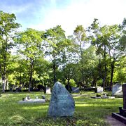 Grab Hermann Wagner Feld 40 Grab134.jpg