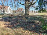 20260302 121822b.jpg