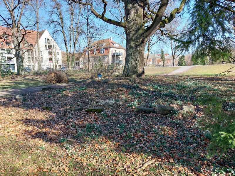 Datei:20260302 121822b.jpg