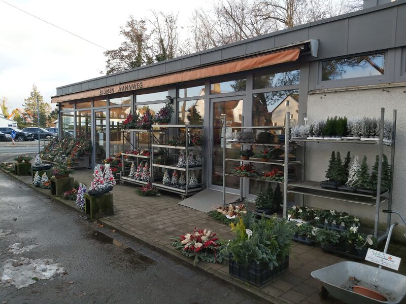 Datei:Blumen Hannweg Ronhof 1.jpg