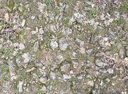 Egersdorfer Straße Bodendenkmal Mrz 2024 12.jpg