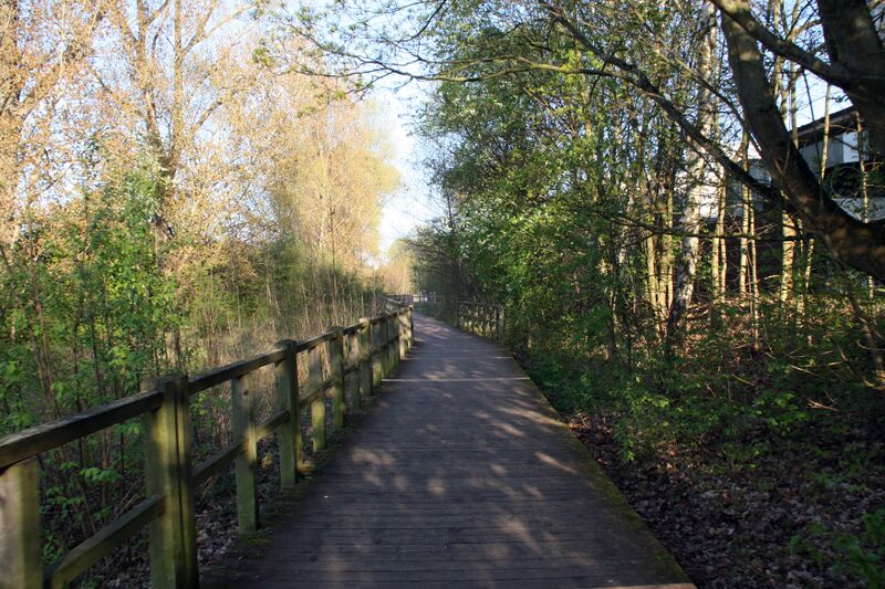 Datei:Frog-Steg April 2017 1.jpg