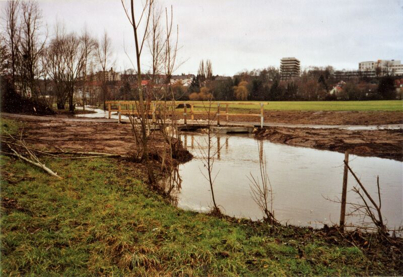 Datei:NL-FW 04 2383.2 KP Schaack Abholzaktion Rednitzufer 12.12.2007.jpg