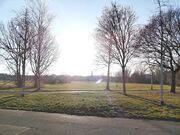 Wiesengrund vom Sebastian-Kneipp-Weg Richtung Altstadt Fürth 07.03.2022.jpg