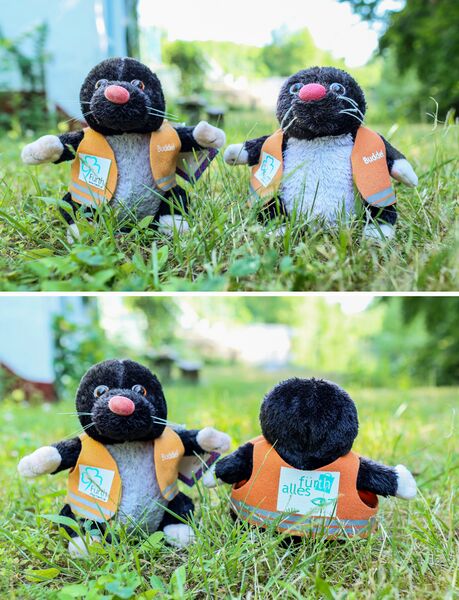 Datei:Buddel 2006 2014.jpg