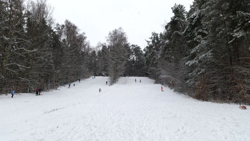 Datei:Eschenaubuck Januar 21.jpg