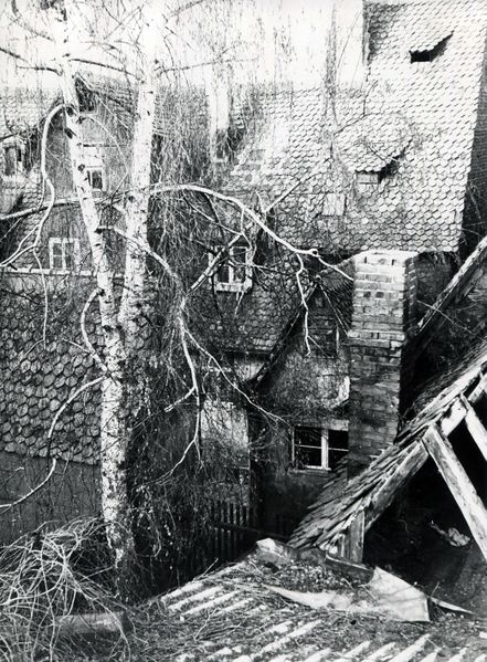 Datei:Gänsberg 11.jpg