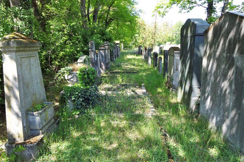 Datei:Jüdischer Friedhof 2020.11.jpg