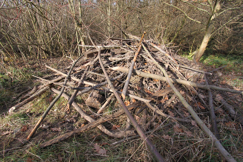 Datei:Biberburg Farrnbach.jpg