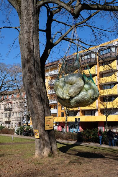 Datei:FFF Müll Adenaueranlage Mrz 2021.jpg