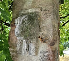 2025 10 21 Laubengang Rosengarten Stadtpark (3).jpg