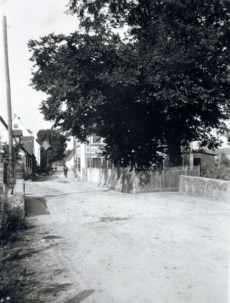 Datei:DSCF0999 Grüner Baum Vach.JPG