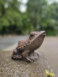 Froschkönig (Ausschnitt).jpg