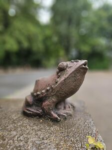 Froschkönig (Ausschnitt).jpg