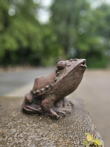 Datei:Froschkönig (Ausschnitt).jpg