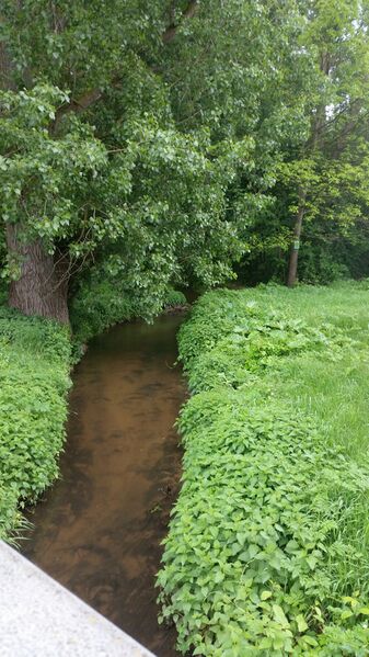 Datei:Bucher Landgraben (3).jpg